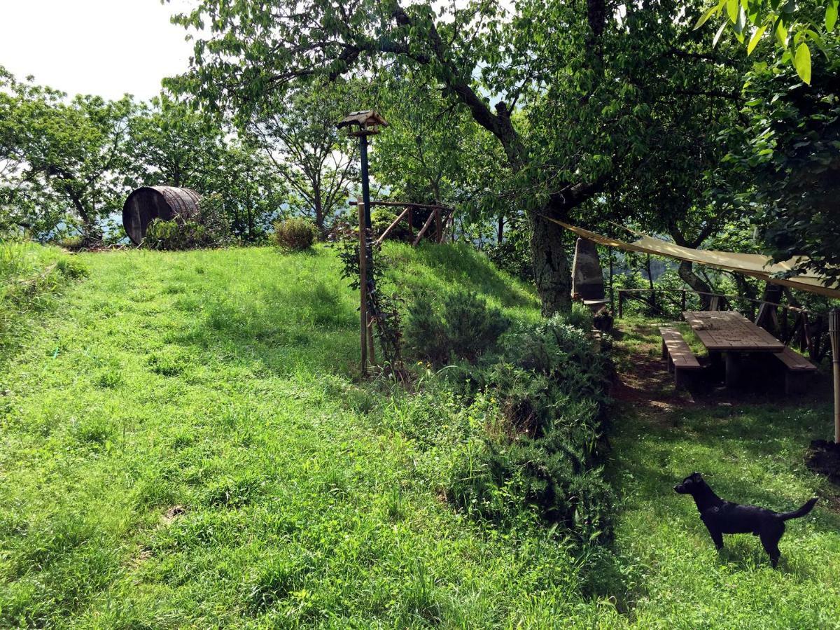 Andante Appartamenti Castelnuovo di Val di Cecina Exterior foto