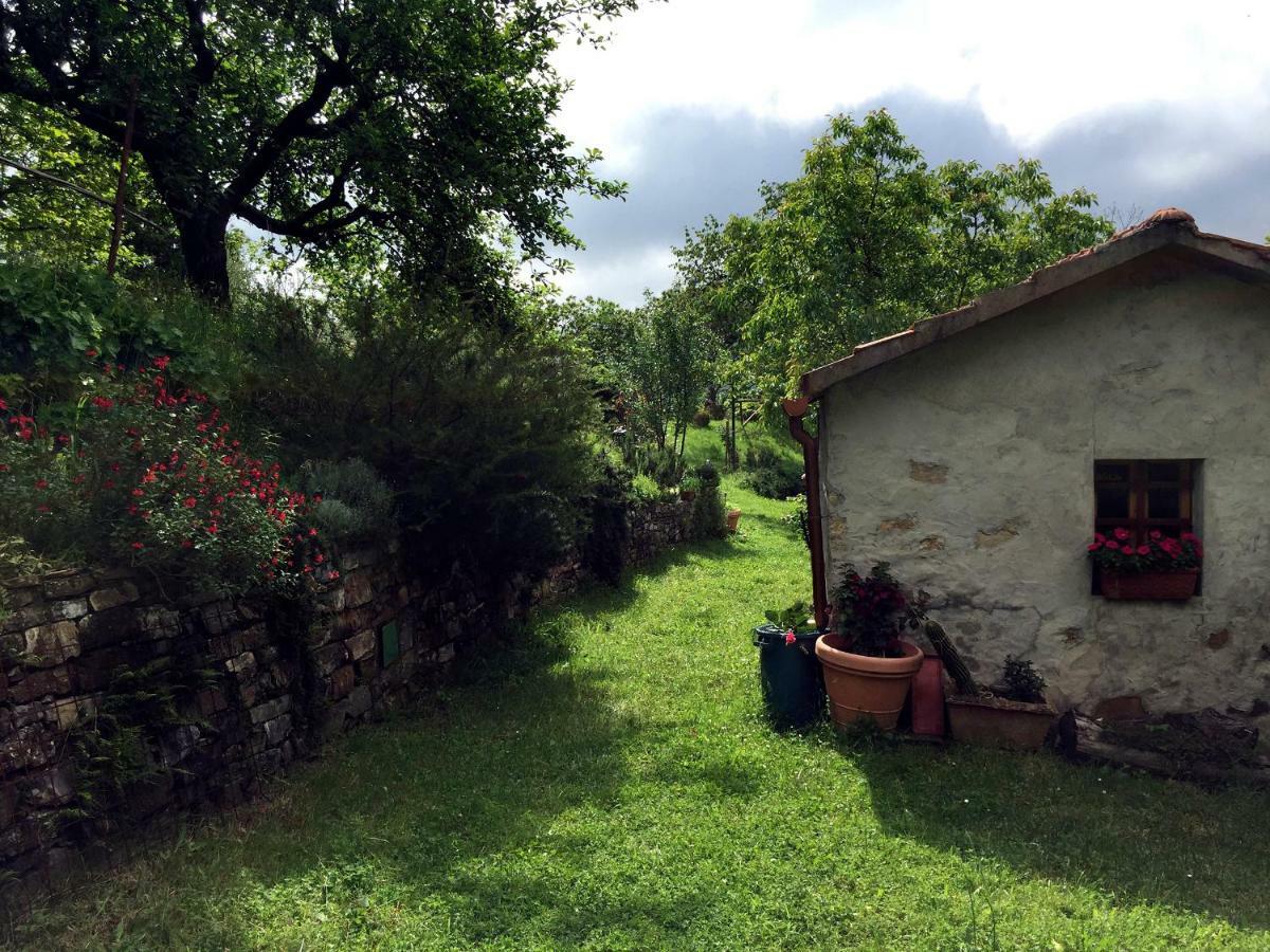 Andante Appartamenti Castelnuovo di Val di Cecina Exterior foto