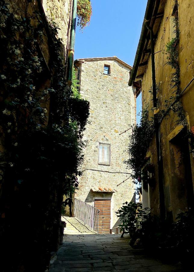 Andante Appartamenti Castelnuovo di Val di Cecina Exterior foto